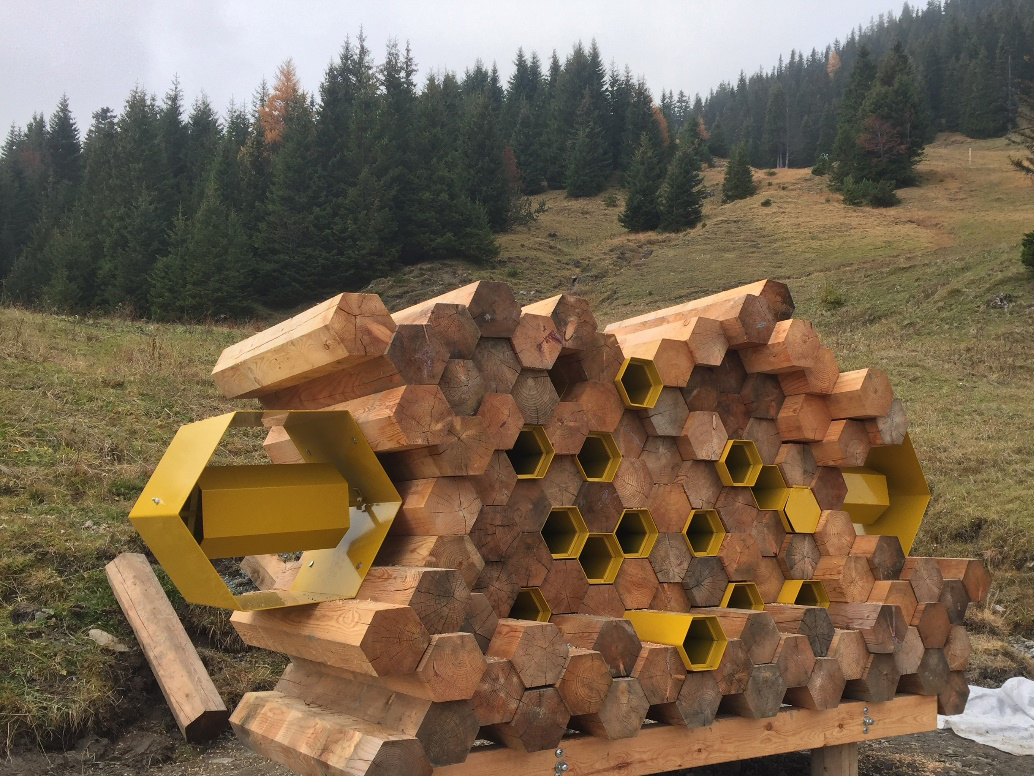 Tierwelten Bienen