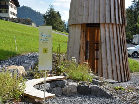 Während Veranstaltungen wie Pflanzentreffen, beim Verweilen auf der Bank und beim Besuch im Vorbeigehen lernen Interessierte im neuen Kräutergarten Wissenswertes über die Pflanzenvielfalt im Großen Walsertal. Foto: Biosphärenpark Großes Walsertal