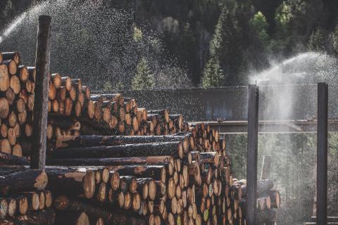 Foto: Erhart Holz