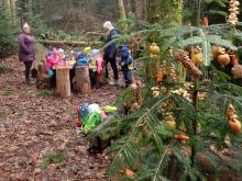 Unterstützt vom Gemeindeförster richten die Kinder der Kleinkinderbetreuung Hohenweiler im Bachspielwald einen Futterbaum für Tiere her und lernten nebenbei allerlei Wissenswertes rund um das Ökosystem Wald. Foto: Conny Feurstein